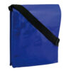 3070 BANDOLERA BIOBAND