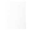 Ref. 6946 BLOC NOTAS SEMILLAS SEREX - Imagen 2
