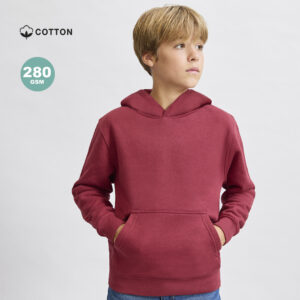 Ref. 21954 SUDADERA NIÑO DRACO