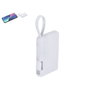 Ref. 21977 POWER BANK BRANDIN