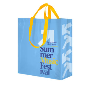 Ref. 40043 Bolsa Compra 36 x 40 + 19 cm