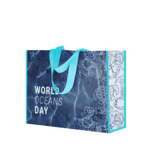 Ref. 40048 Bolsa Compra 42 x 32 + 16 cm