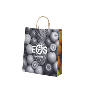 Ref. 40066 Bolsa Papel 100 g/m² Asas Torcidas 22 x 23 + 9 cm