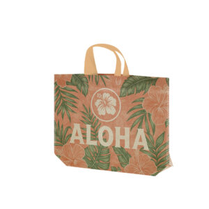 Ref. 40095 Bolsa Termosellada Laminada Non Woven 120g 30 x 25 + 10 cm Fuelle En Base