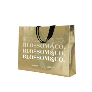 Ref. 40123 Bolsa Termosellada Laminada RPET Non Woven 100g 50 x 40 + 12 cm Fuelle Completo