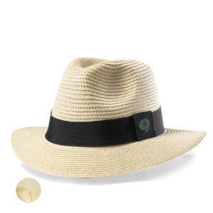 1038 Sombrero Teilor