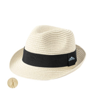 1039 Sombrero Ranyit