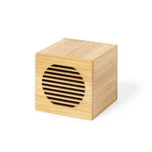 1143 Altavoz Teoden