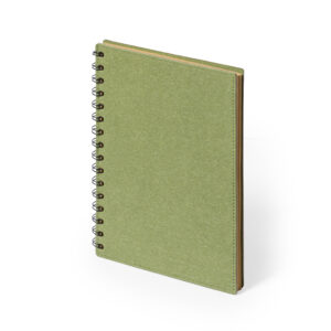 1246 Libreta Idina