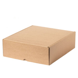 1309 Caja Presentación Fredox