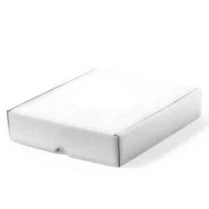 1549 Caja Presentación Magdus