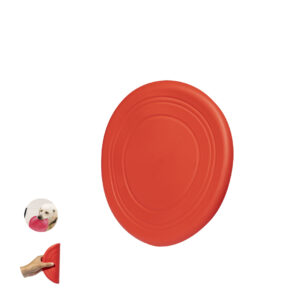 20332 Frisbee Girud