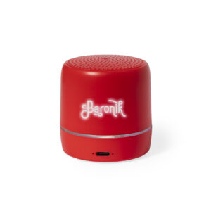 21015 Altavoz Kucher