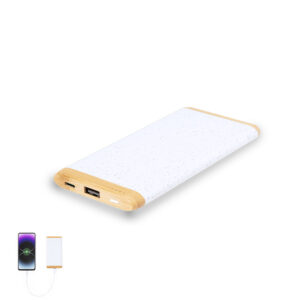 21219 Power Bank Coquin