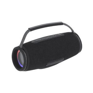 21359 Altavoz Digby