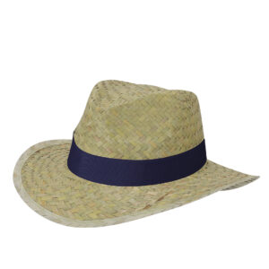21442 Sombrero Freuler