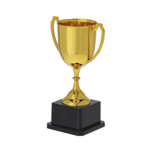 21859 Trofeo Nynor