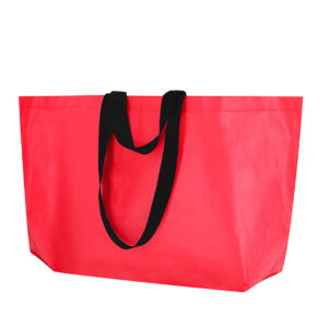 21867 Bolsa Torvik