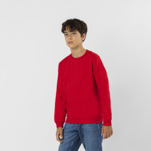 21952 Sudadera Niño Cosmos