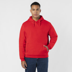 21953 Sudadera Adulto Draco