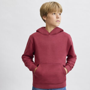 21954 Sudadera Niño Draco