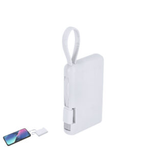 21977 Power Bank Brandin