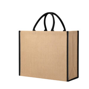 22234 Bolsa Vasan