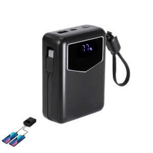 22491 Power Bank Evron