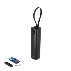 22493 Power Bank Arel