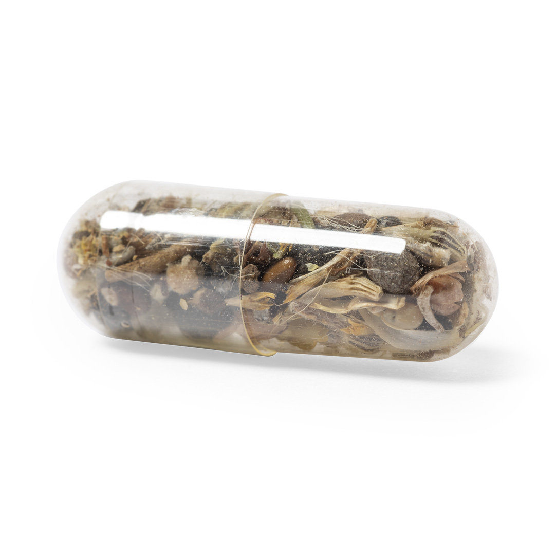 2642 Capsula Semillas Biyok - Imagen 2
