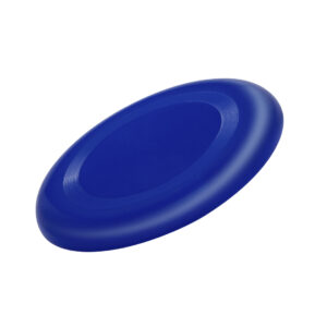 4579 Frisbee Girox