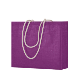 4883 Bolsa Hintol