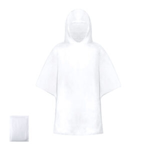 6589 Poncho Reizon