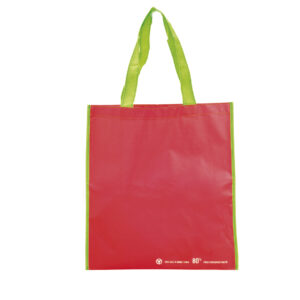 9848 Bolsa Helena
