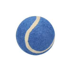 9964 Pelota Niki